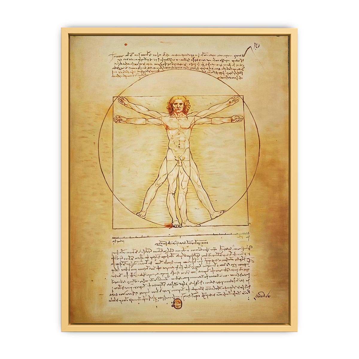 Vitruvian Man by Leonardo Da Vinci Streched canvas