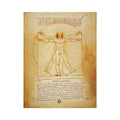 Vitruvian Man by Leonardo Da Vinci
