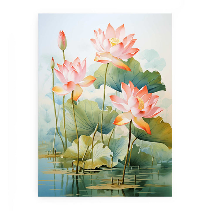 Lotus  Flower