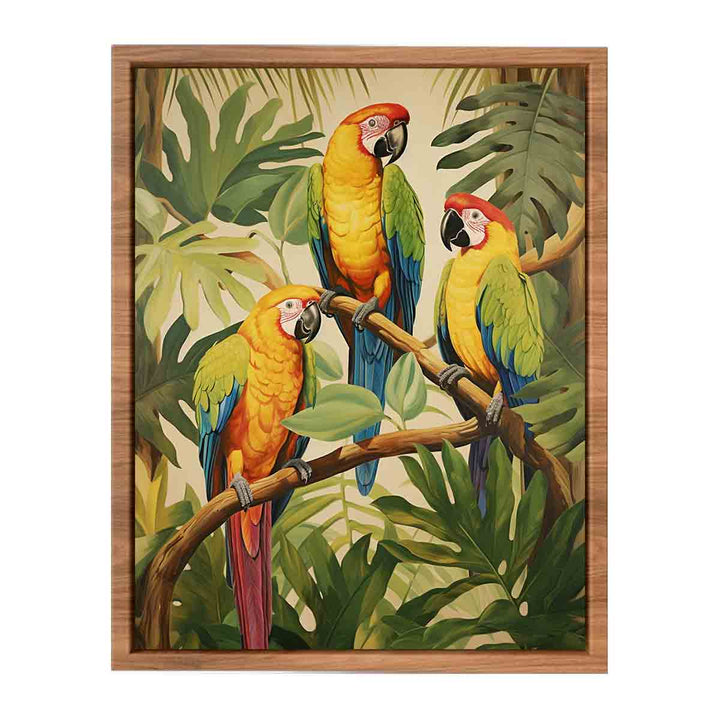 Tropical  Parrotsg Poster