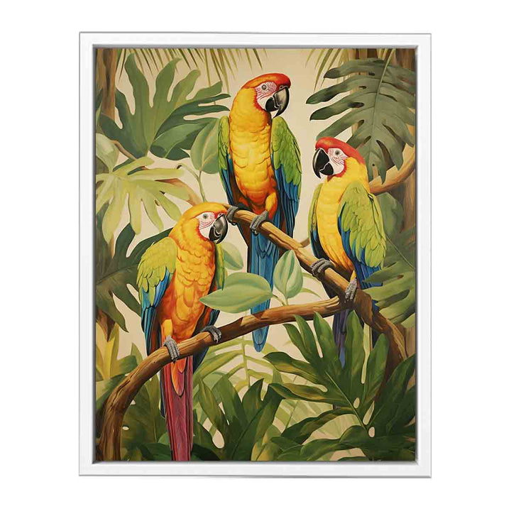Tropical  Parrotsg Framed Print