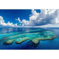 The Coral Kingdom