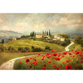 Red Poppies House