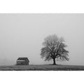 Silent Hearth