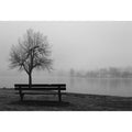 Quiet Refuge