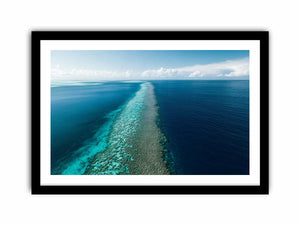 Framed Print