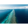 The Coral Kingdom
