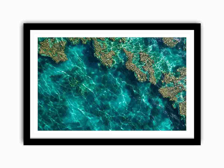 Teal Reef  Art Print