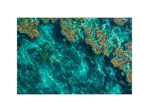 Teal ocean coral photography canvas for calming coastal room decor.