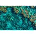Teal Reef