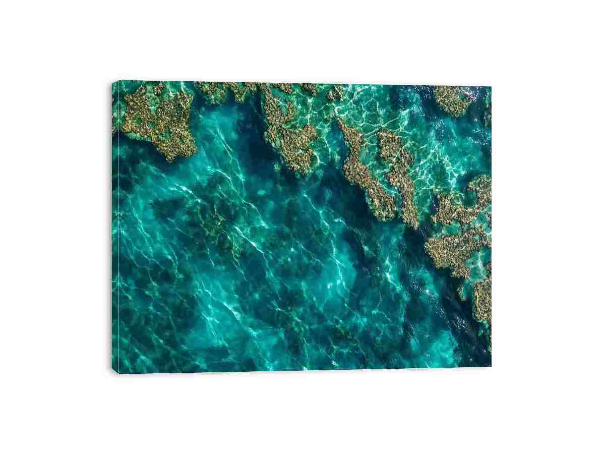 Teal ocean coral photography canvas for calming coastal room decor.