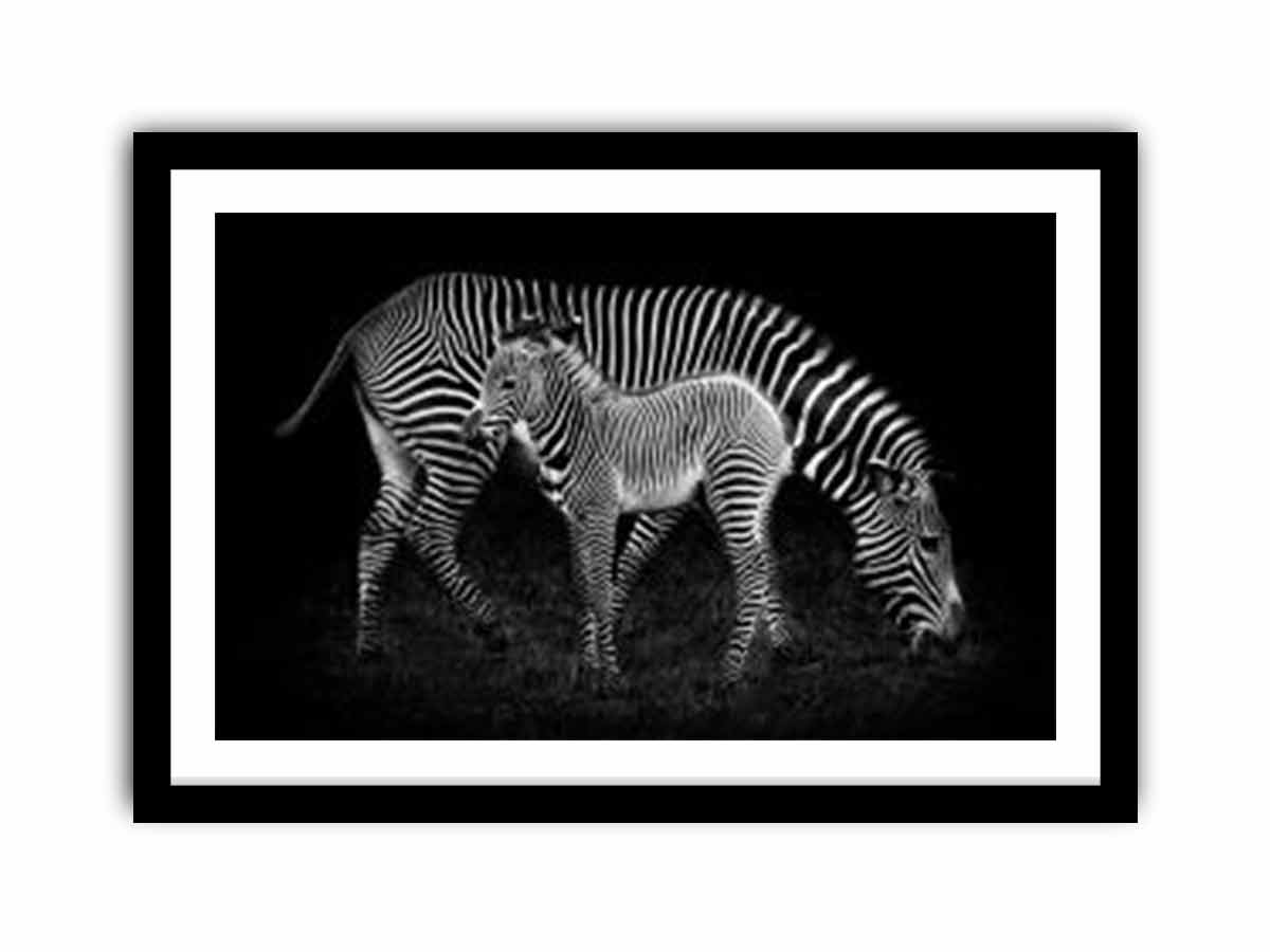Mum & baby Zebra  Art Print