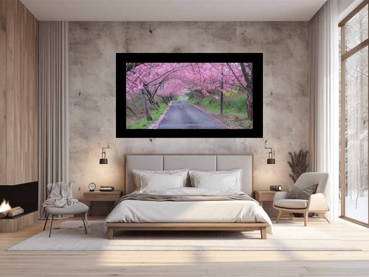 Cherry Blossom Path 
