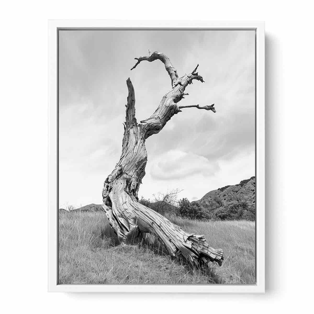 Left Out Framed Print
