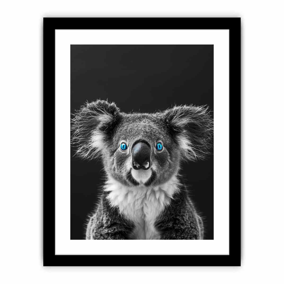 Koala  Art Print