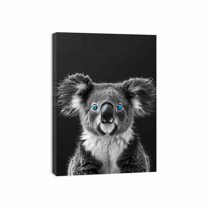 Koala Canvas Print