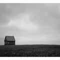 Lonely Home