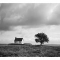 Lonely Home