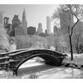 New York Central Park