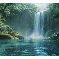 Misty Rainforest