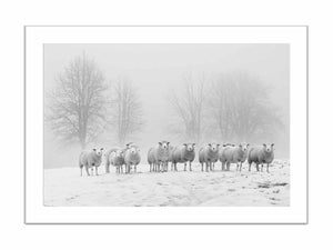 Framed print