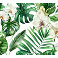 Orchids