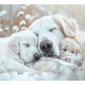 Dog  Cute Baby