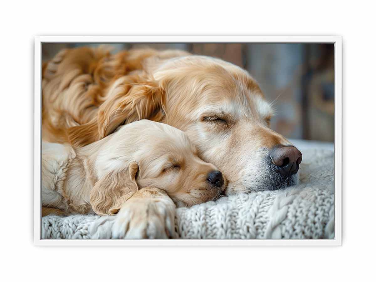 Dog  Cute Babies  Framed Print