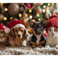 Festive Animals