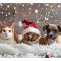 Festive Animals 