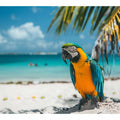 Tropical Parrot 