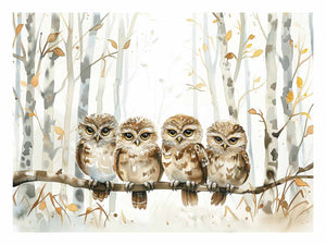 Owl Party