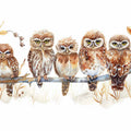 Owl Party 