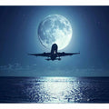 Dream Flight 