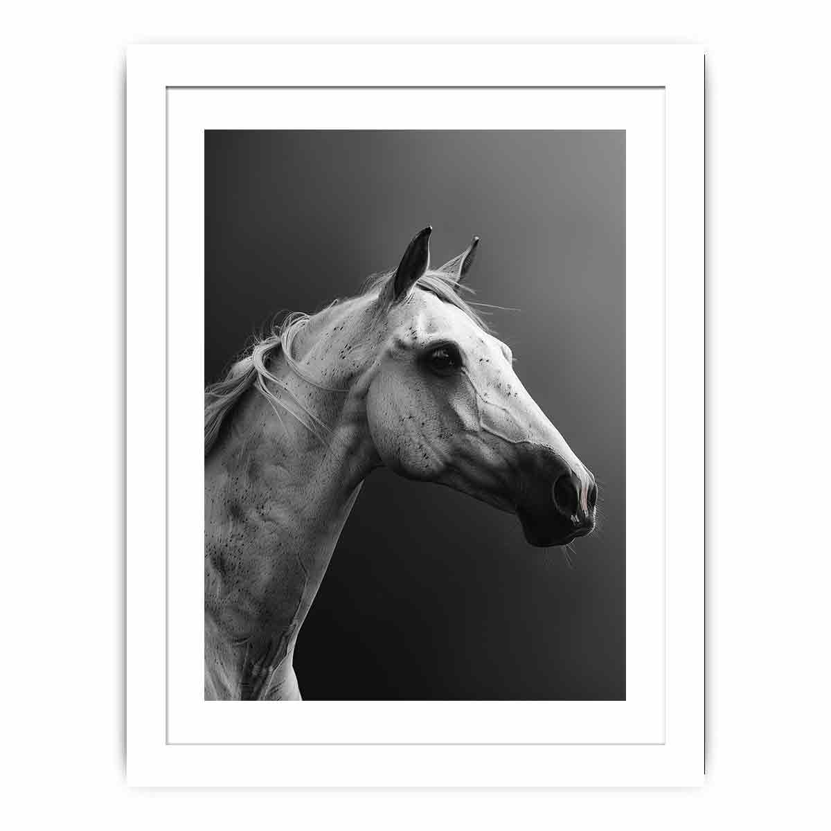 Horse Streched canvas