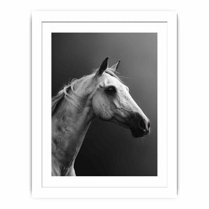 Horse Streched canvas