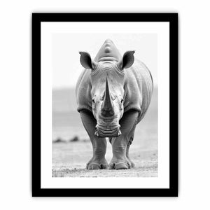 Rhino  Art Print