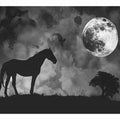 Horse & Moon