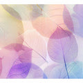 Colorful  Pastel
