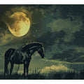 Full Night Moon