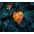 Love Leaf