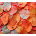 Leaves Petals