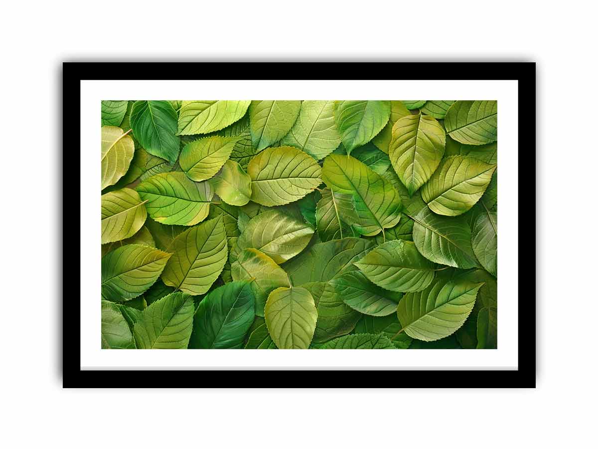 Green Leaves   Art Print