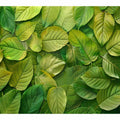 Green Leaves 