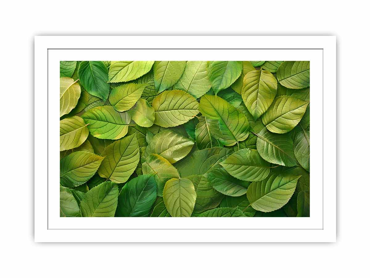 Green Leaves  Streched canvas