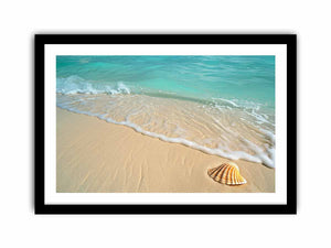 SHell   Art Print