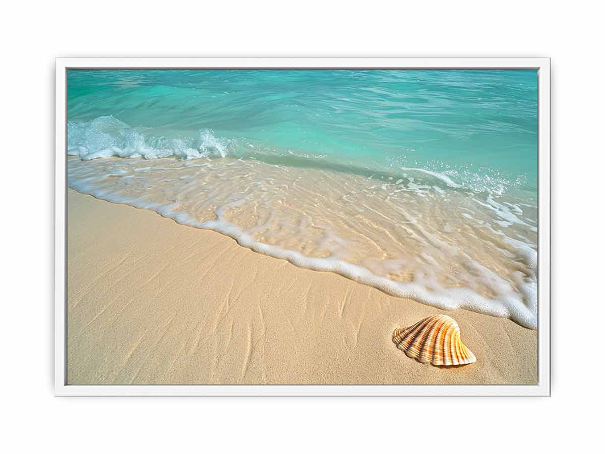 SHell  Framed Print