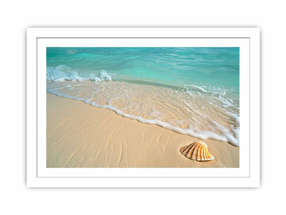 SHell  Streched canvas