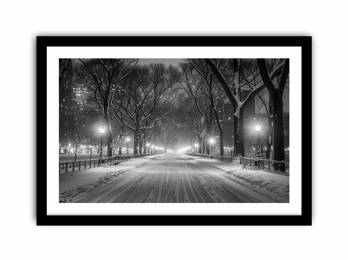 Central Park   Art Print