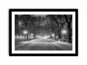 Central Park   Art Print
